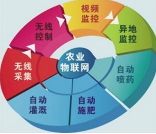 工業(yè)物聯(lián)網(wǎng)前期發(fā)展階段的問(wèn)題